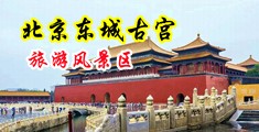 美女被操高潮漏奶在线中国北京-东城古宫旅游风景区